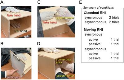 Influence of interoception and body movement on the rubber hand illusion